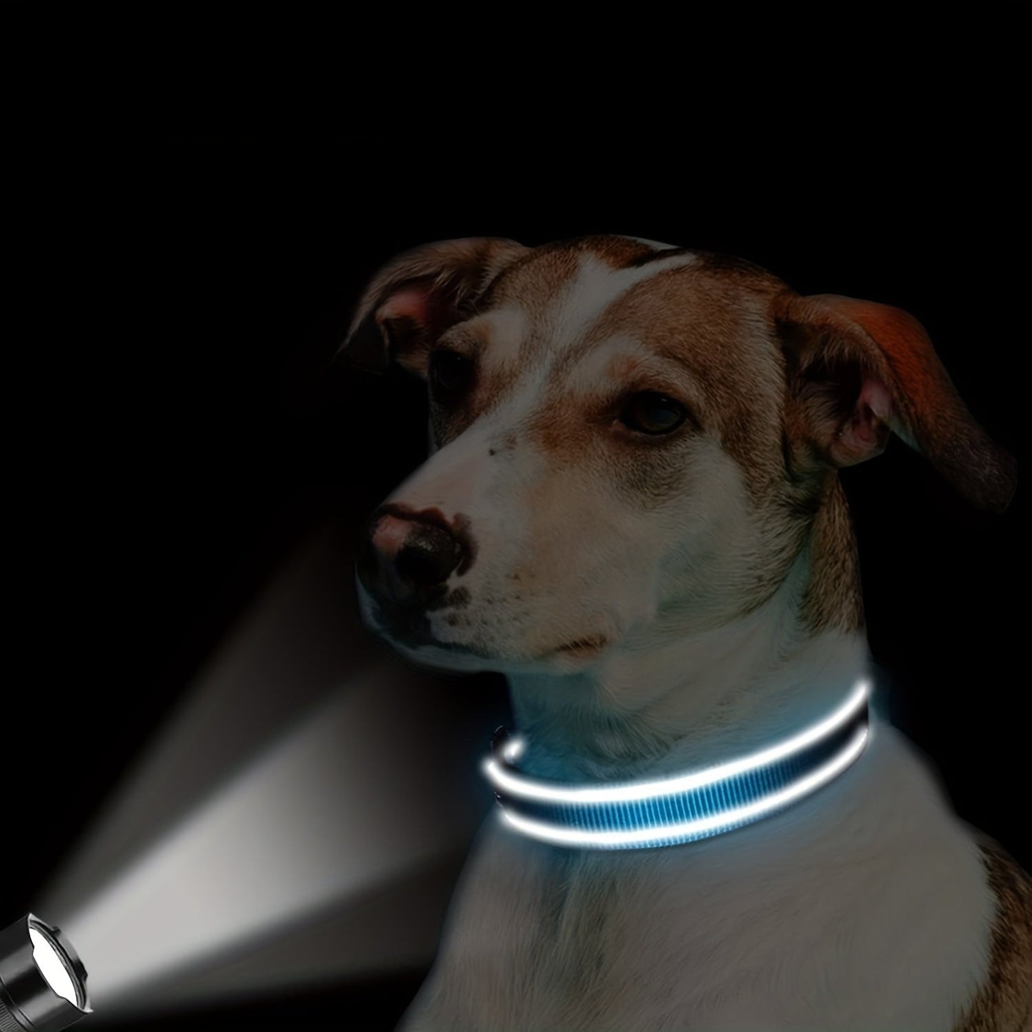 Collier Réfléchissant pour Chien – réglable et résistant