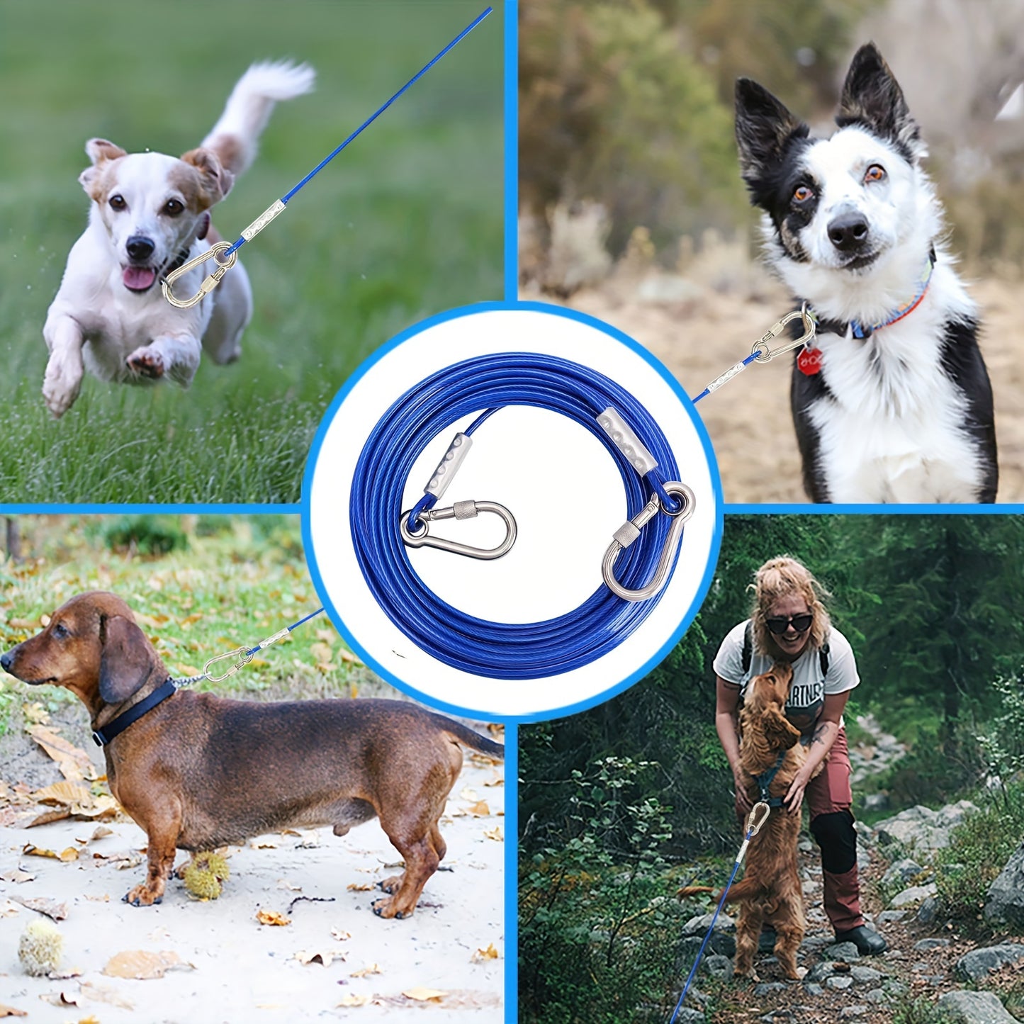 Longe d’attache Acier Renforcé Ultra Résistante pour Chien
