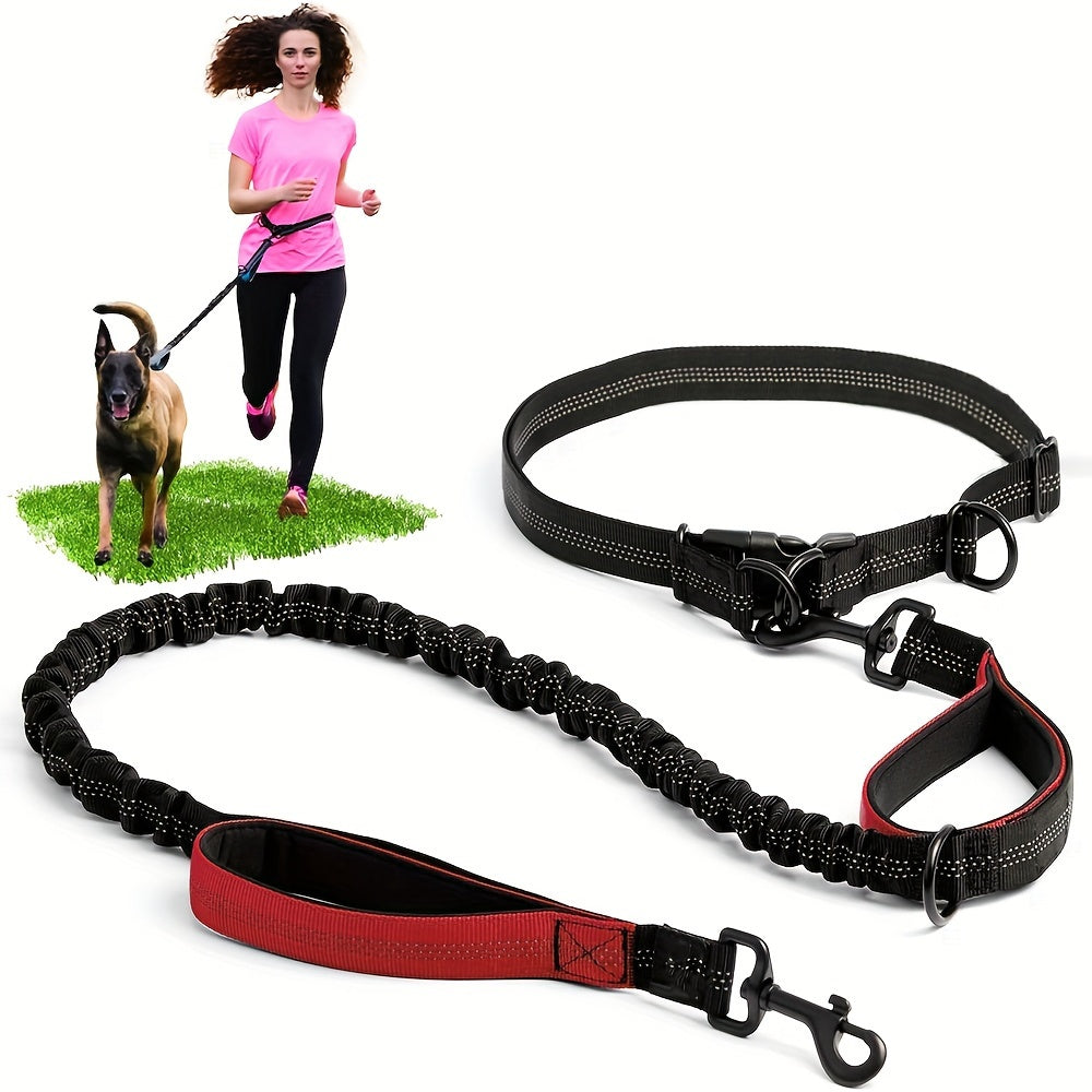 Laisse Elastique Mains Libres pour Chien