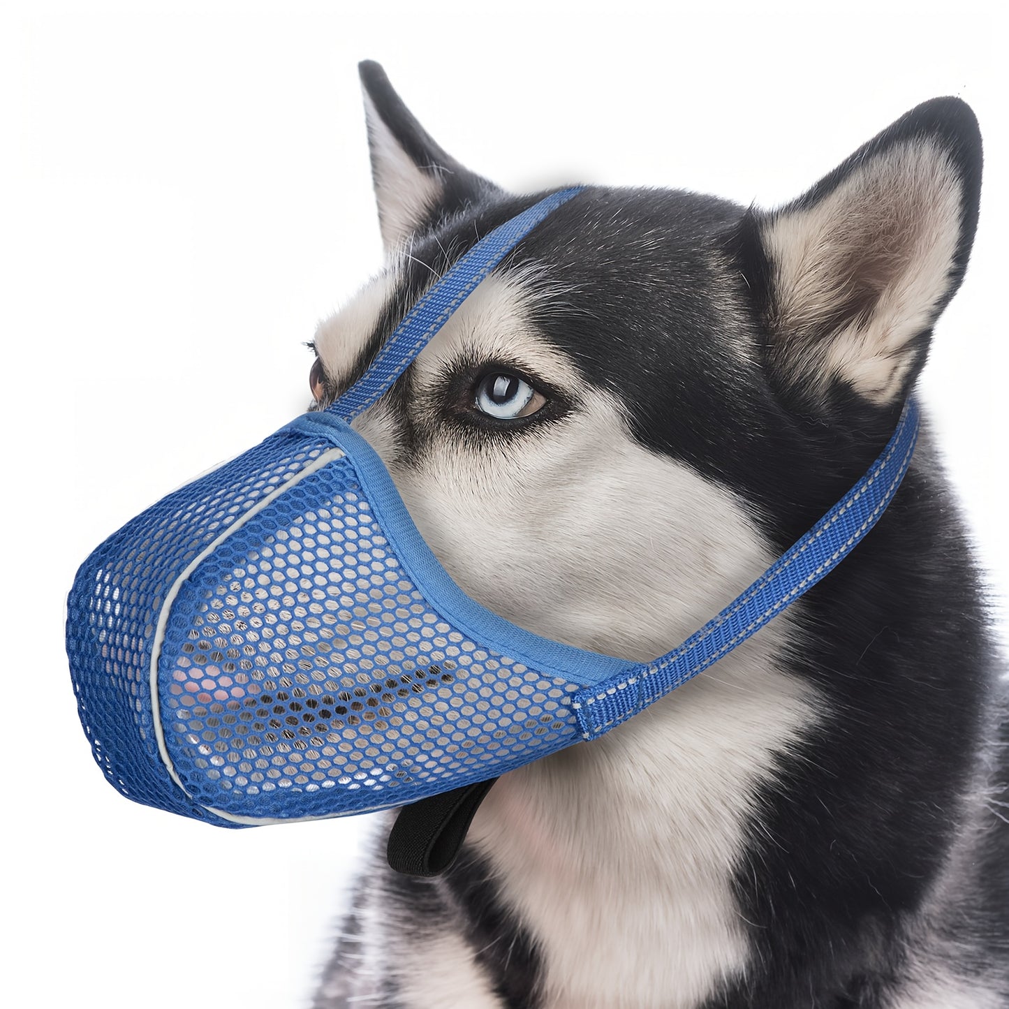 Muselière pour Chien en Maille Respirable