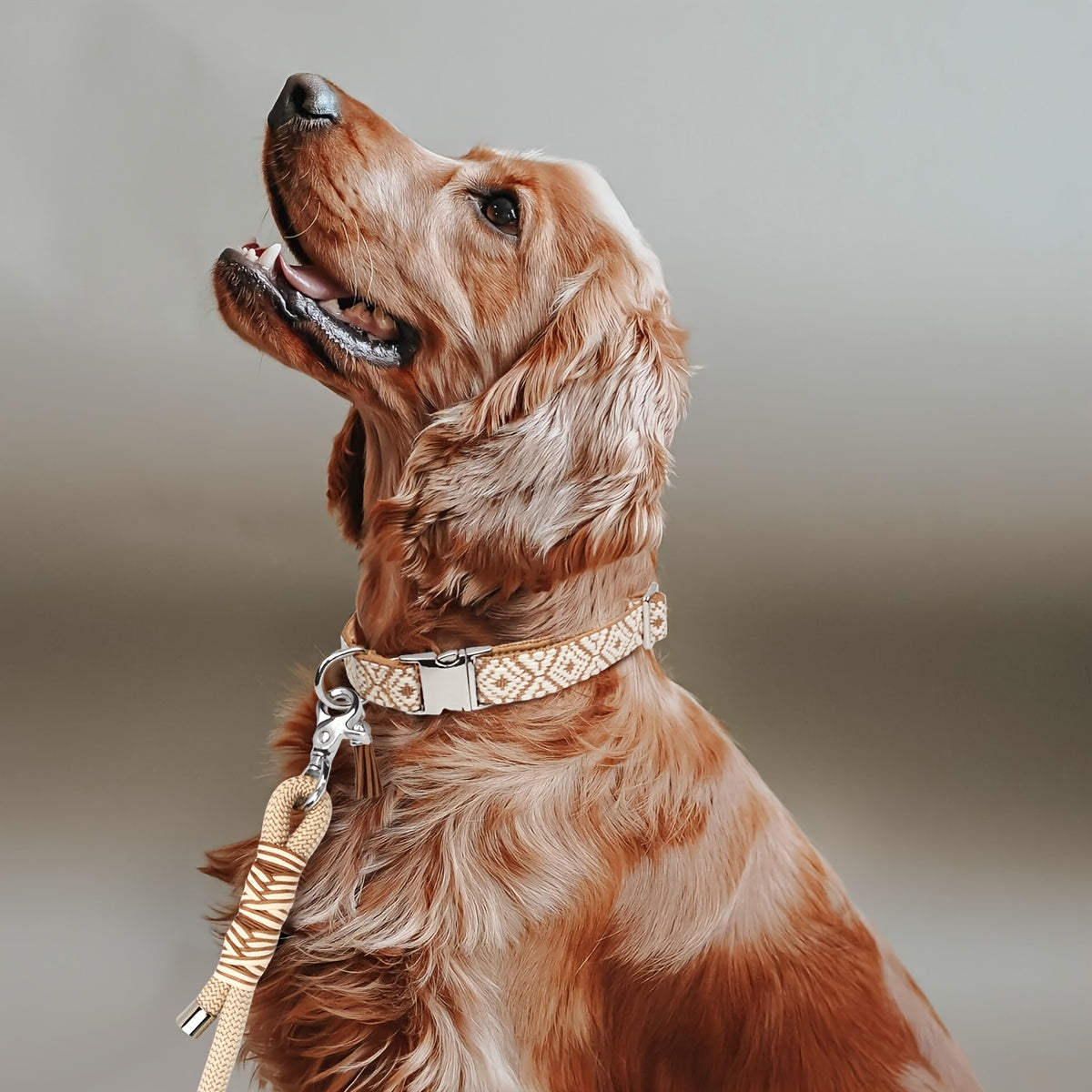 Collier Bohème à motif Géométrique pour Chien