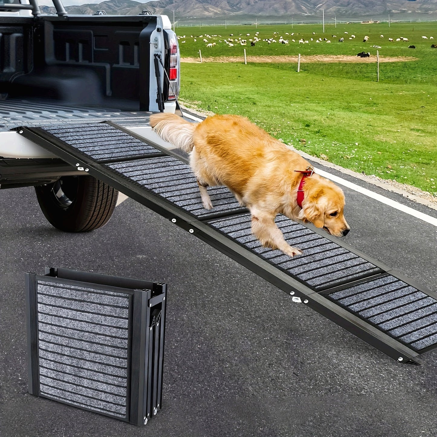 Rampe de Voiture Pliable Antidérapante pour Chiens