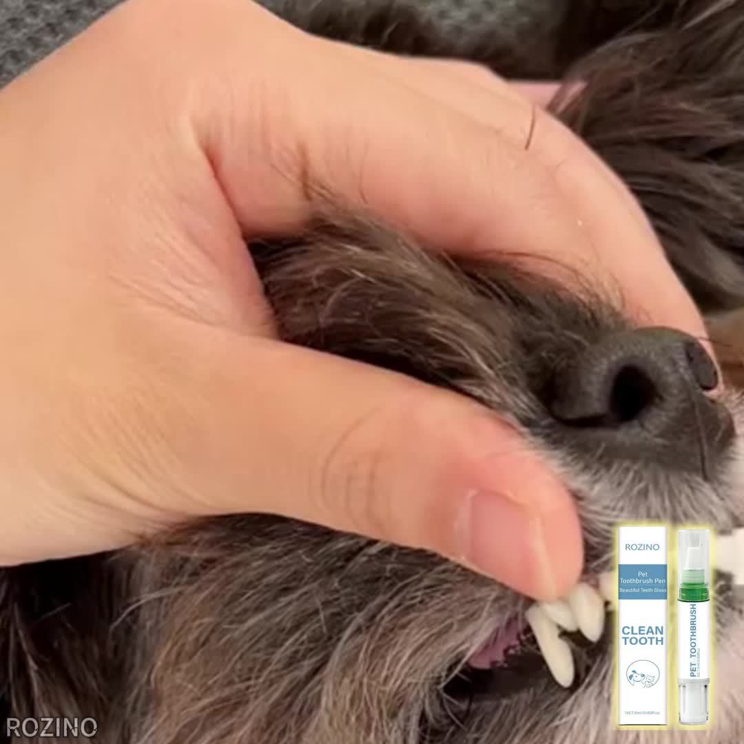 Stylo Brosse à Dents pour Animaux ROZINO