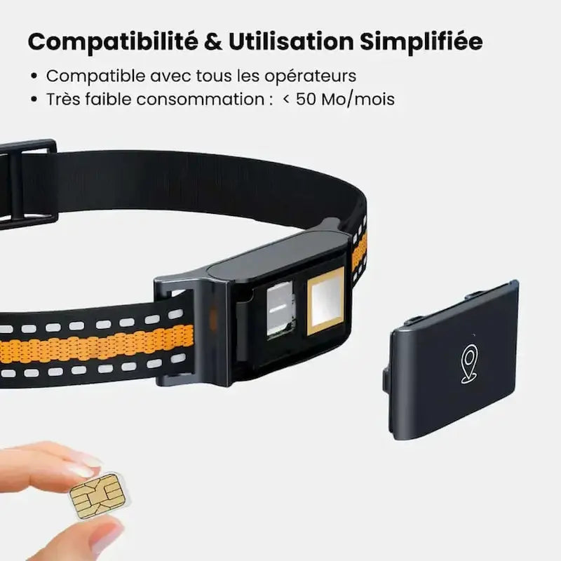 Collier GPS pour chat sans abonnement – Zéro frais mensuels