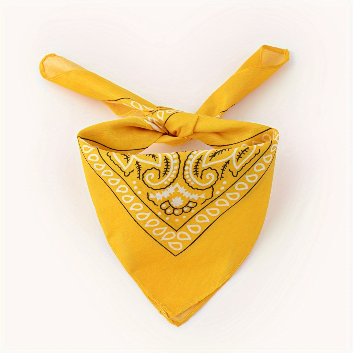 Bandana Classique Carré pour Chien – Motif Paisley
