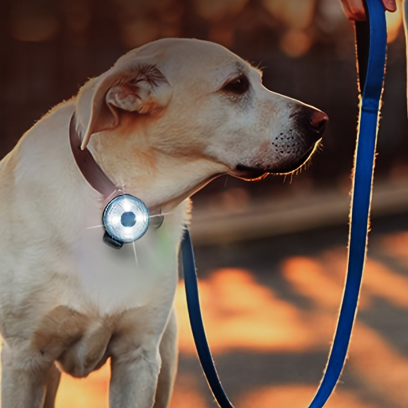 Médaille de Lumière de sécurité LED pour collier de Chien