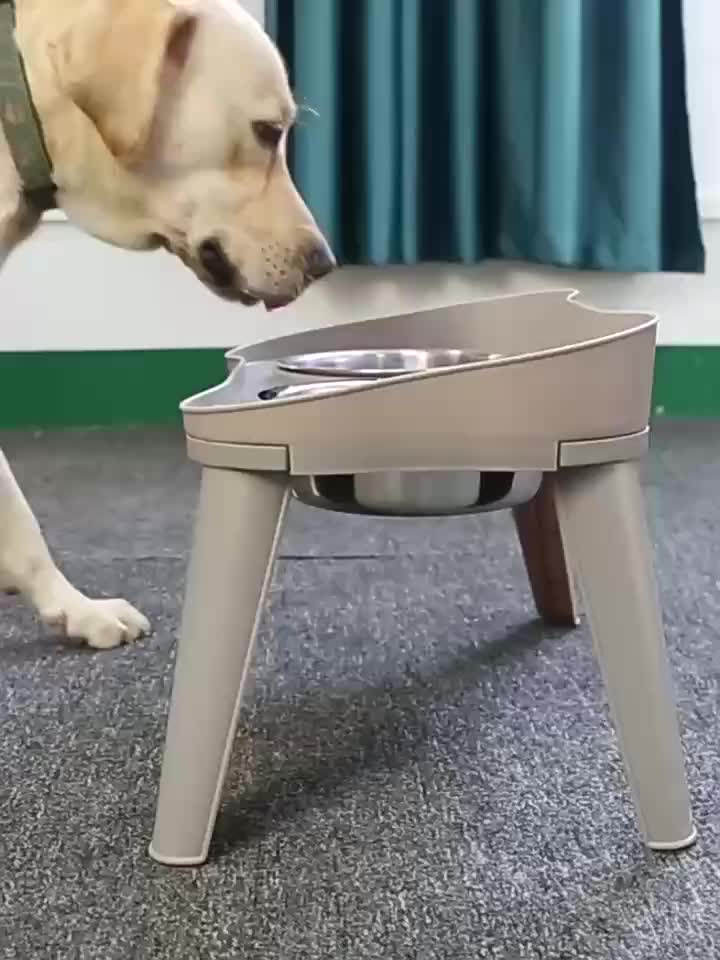 Gamelle surélevée double pour chien et chat