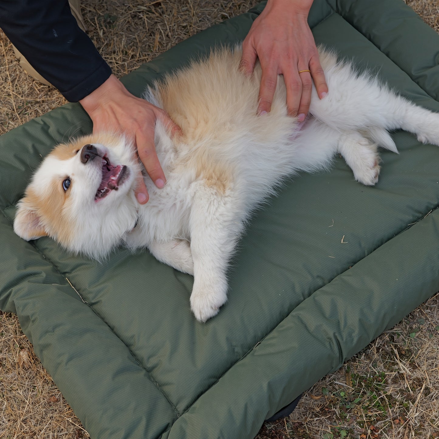Coussin Extérieur Pliable pour Chien – Antidérapant et Lavable
