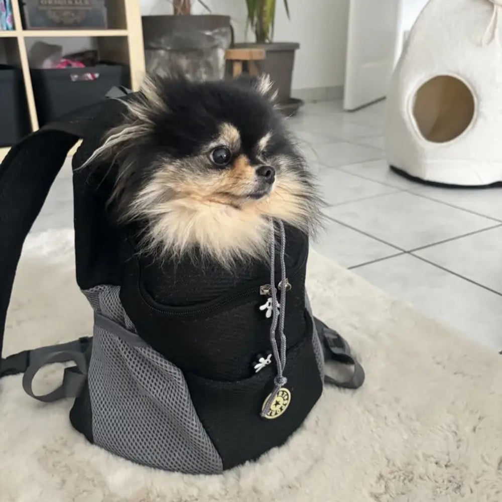 Sac à Dos de Transport pour Chien et Chat – Face Avant Respirante
