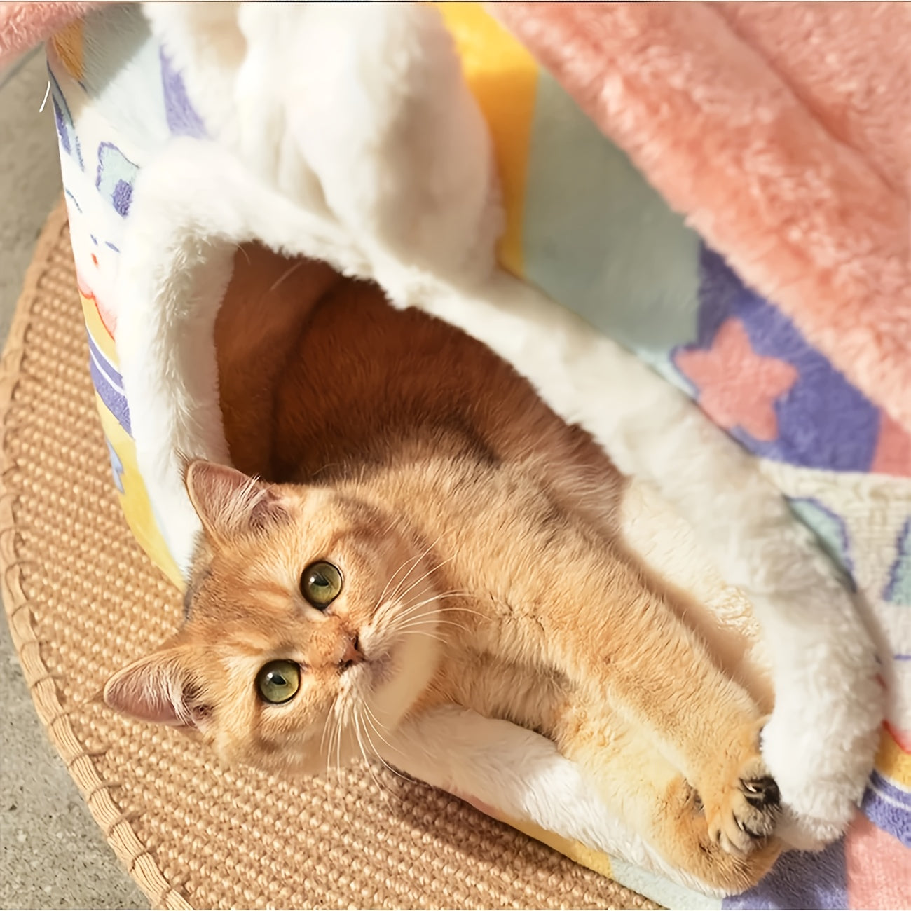 Maison Douillette Lapin pour Chiens et Chats