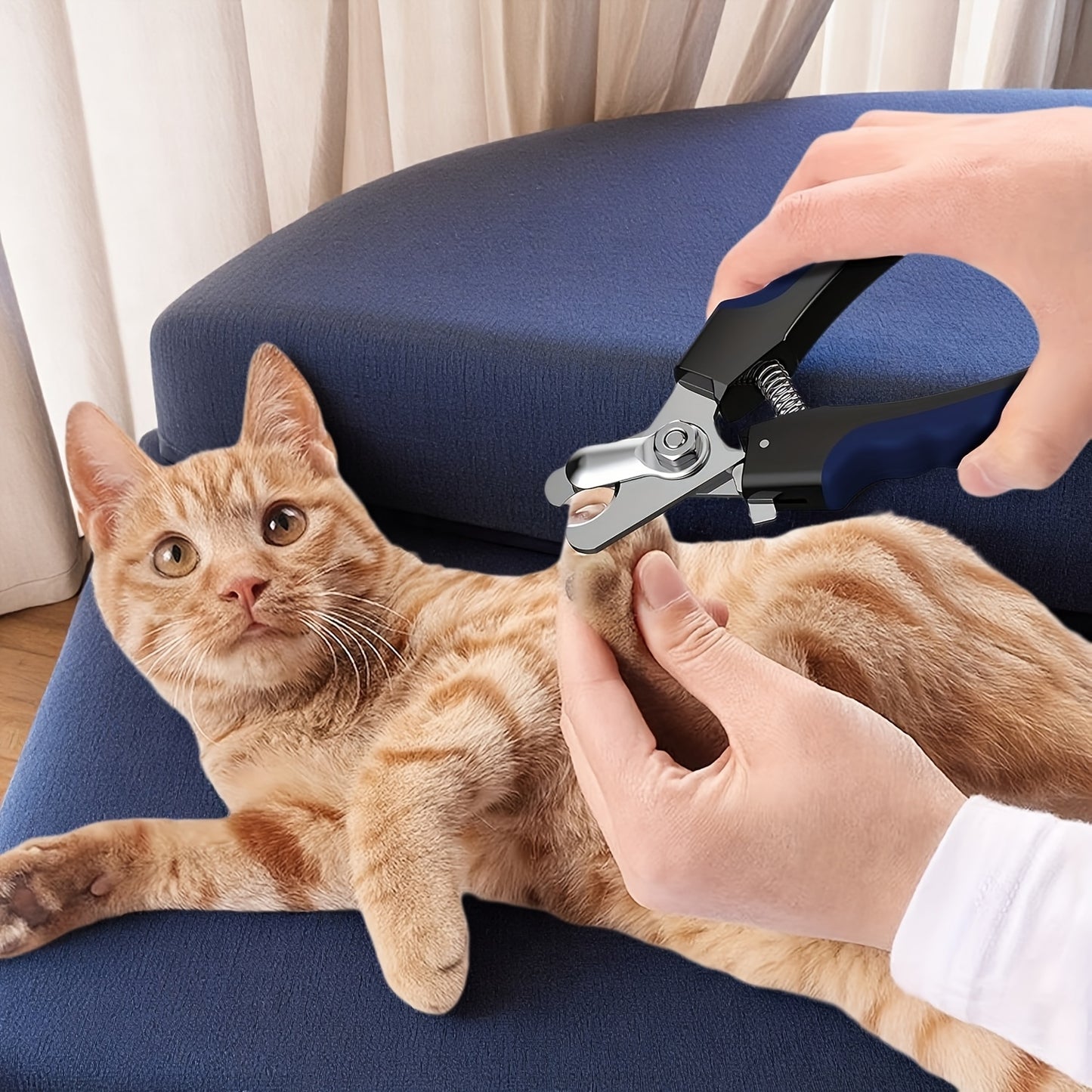Coupe-Griffes Professionnel et Lime pour Chiens et Chats