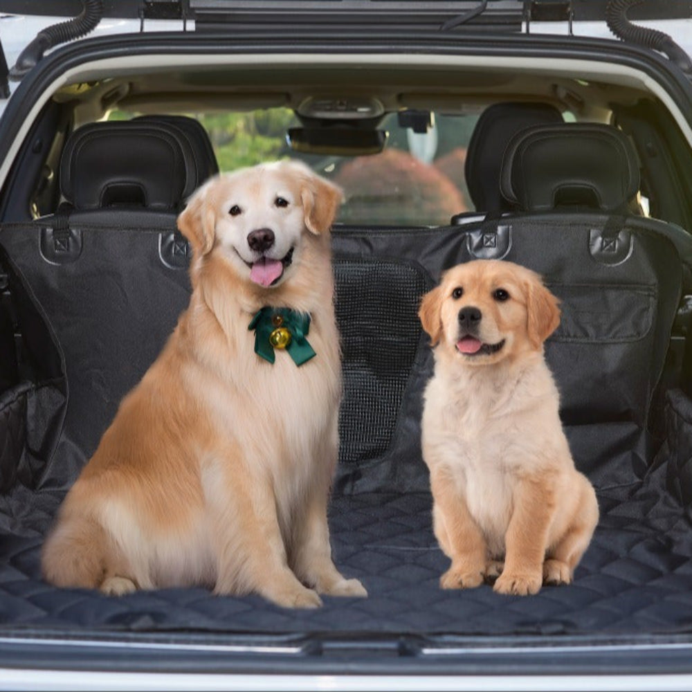 Tapis de Siège Voiture Antidérapant pour Chien