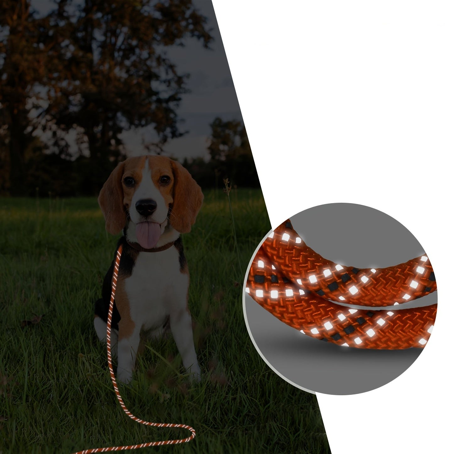 Longe d'Entraînement Orange avec Poignée Rembourrée pour Chien – 4,5 m à 15 m