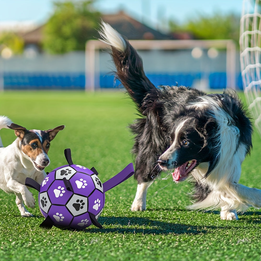 Ballon de Football pour Chien avec Poignées - Violet & Noir