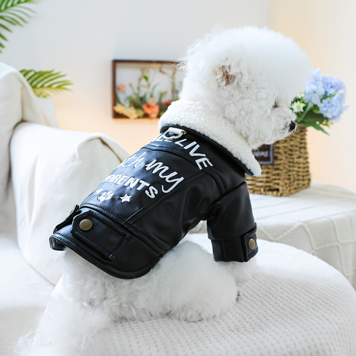 Veste Noire en Simili Cuir pour Chiens et Chats – Look Motard avec Doublure Mouton