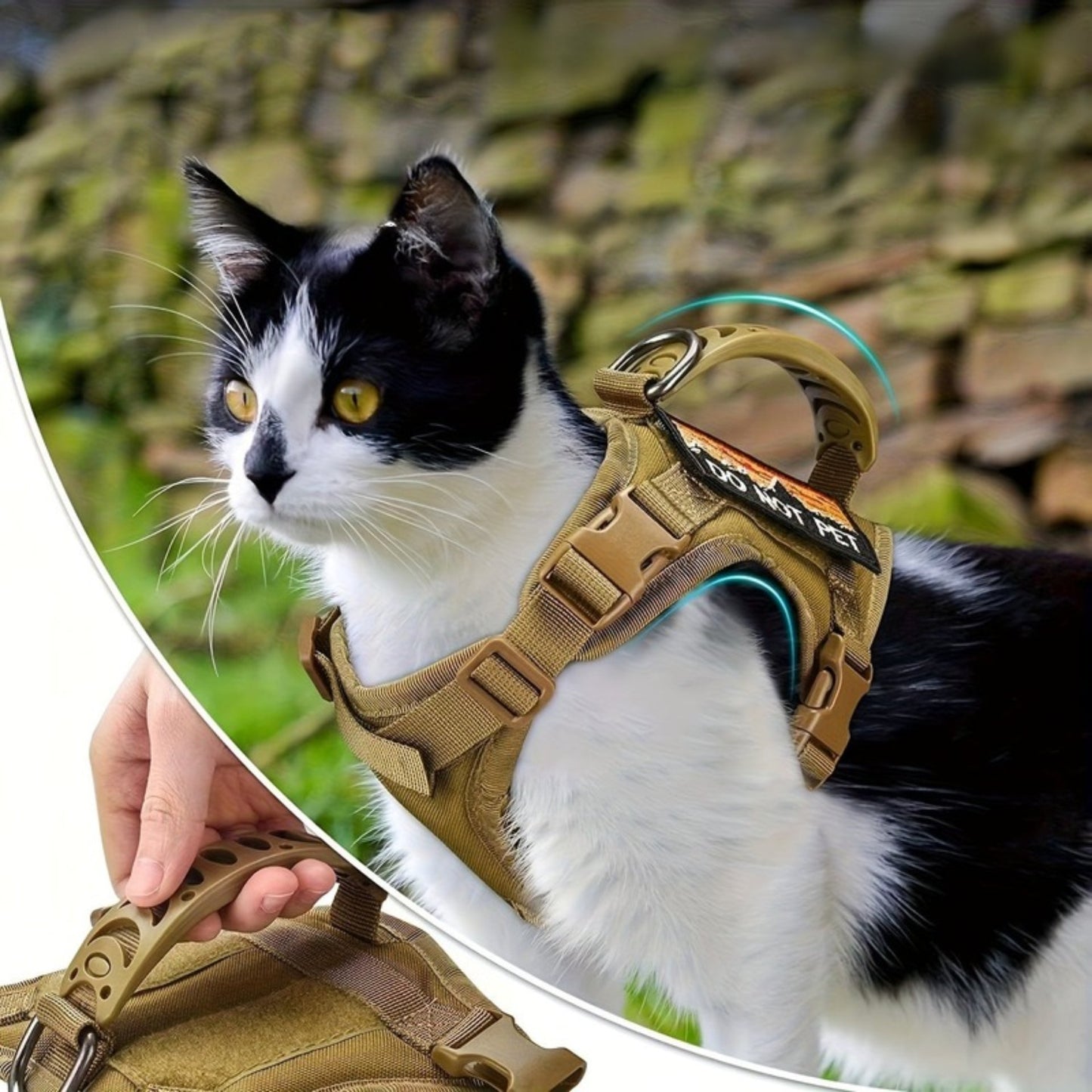 Harnais Tactique Réglable pour Chat avec Poignée de Contrôle