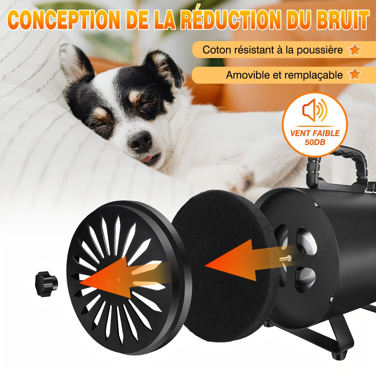 Pulseur Professionnel Silencieux – 3500W avec 4 Buses