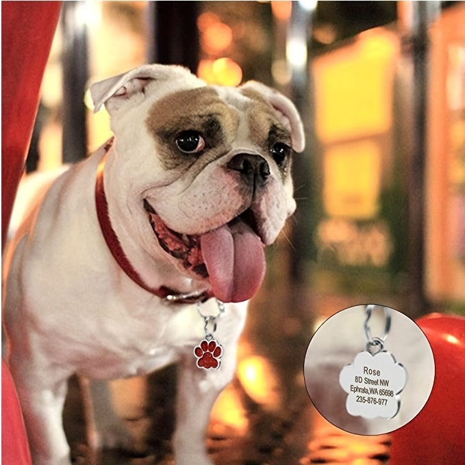 Médaille Patte colorée pour collier de Chien
