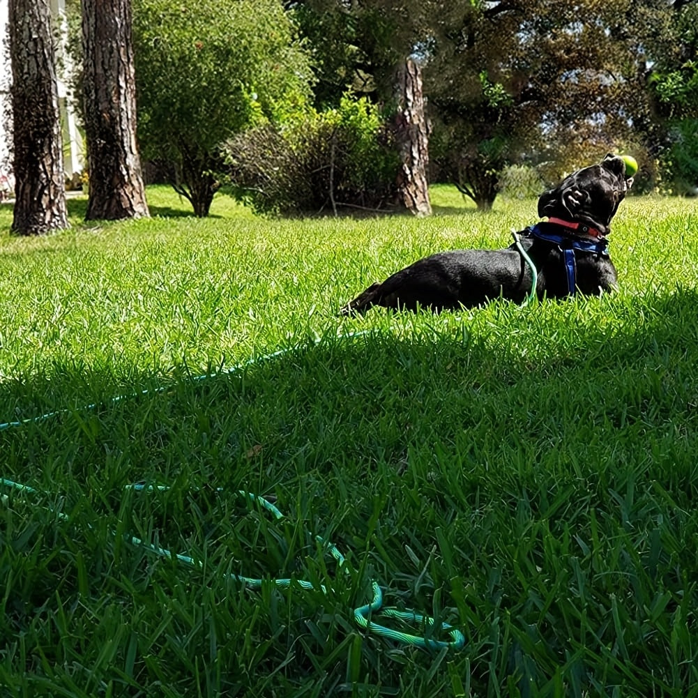 Longe d'Entraînement pour Chien en Corde polyester