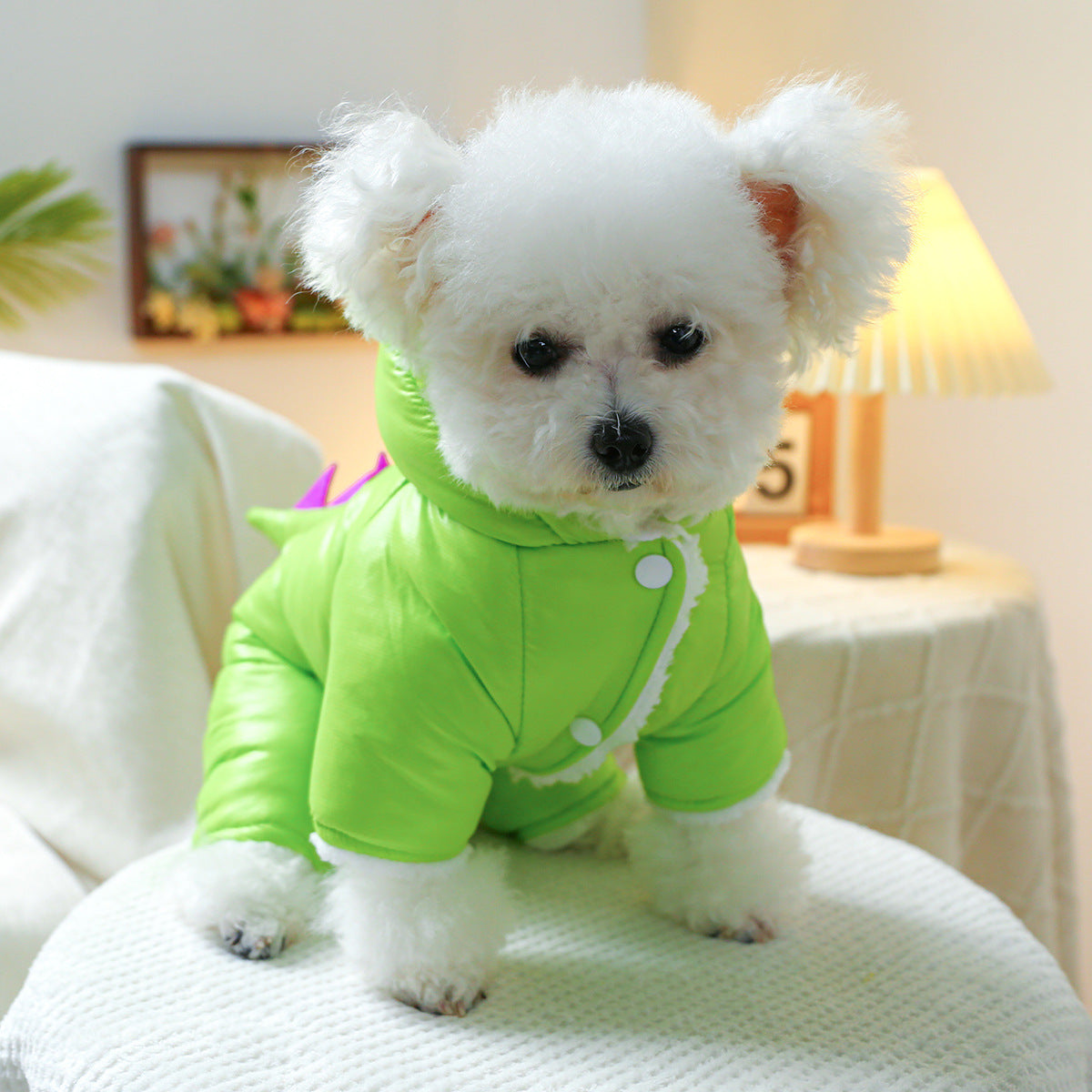 Manteau Dinosaure Fluorescent pour Chiens et Chats – Look Hiver Original