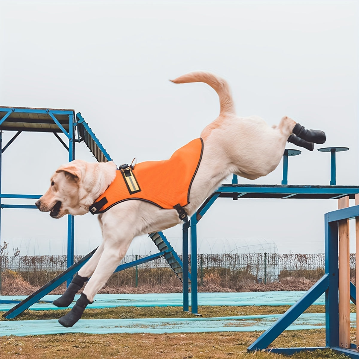 Chaussures Antidérapantes Respirantes pour Chien – Lot de 4