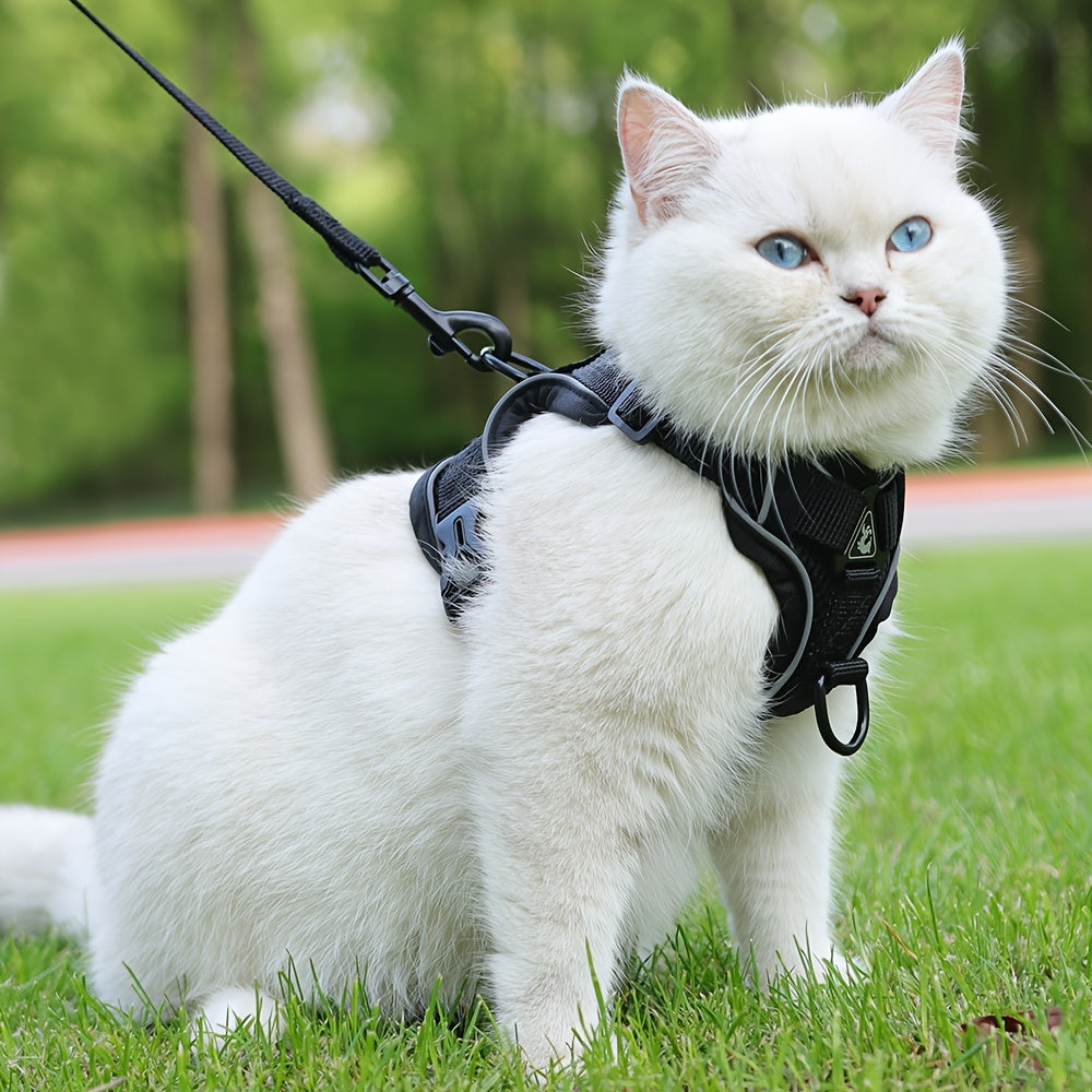 Harnais Réfléchissant et Respirant pour Chat avec Laisse – Confort et Sécurité Extérieure