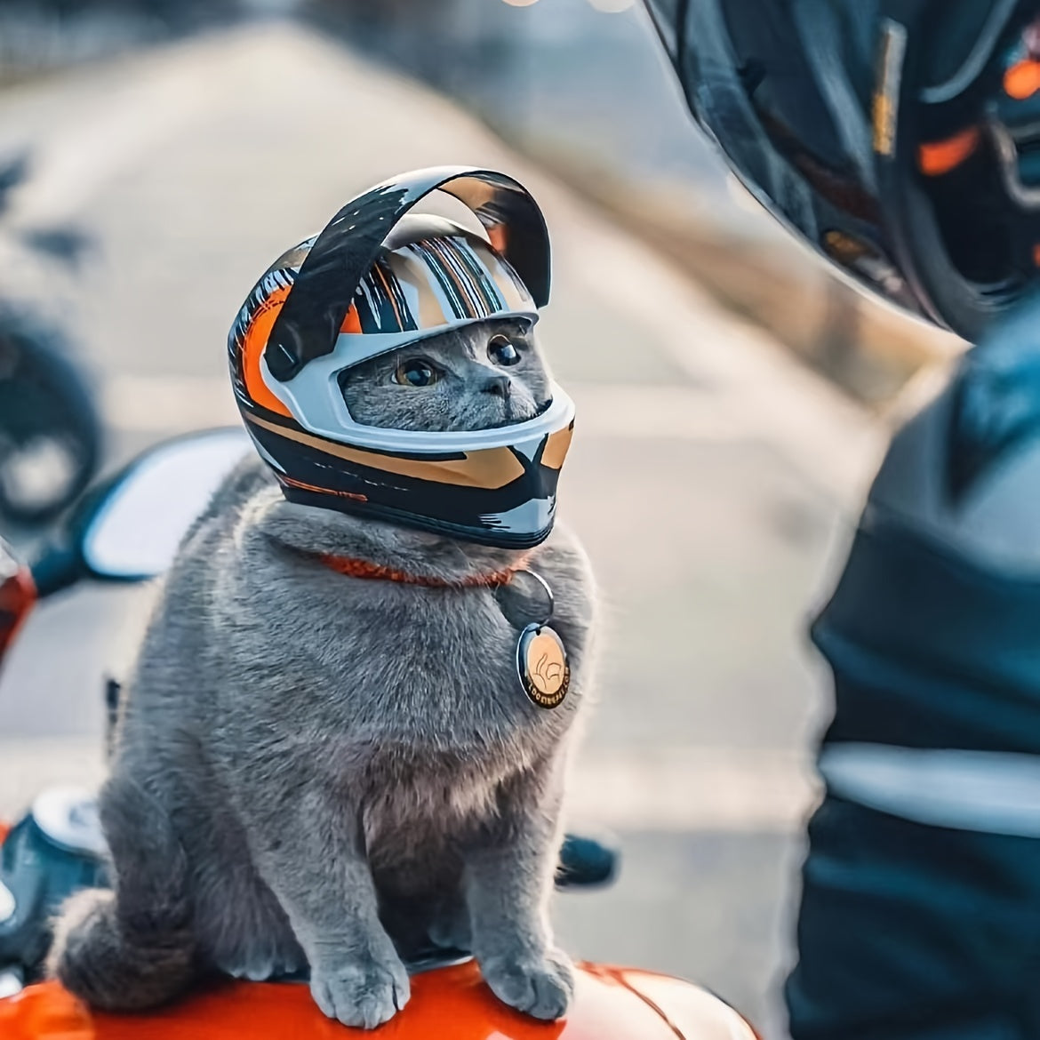 Casque Moto pour Chats – Mini Casque en PVC Style Motard