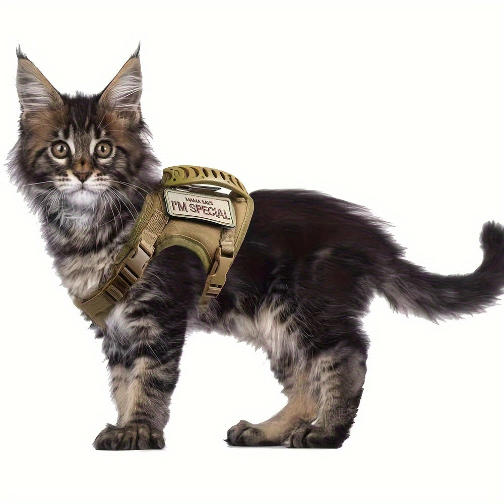 Harnais Tactique Réglable pour Chat avec Poignée de Contrôle