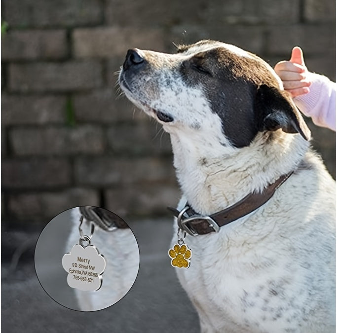 Médaille Patte colorée pour collier de Chien