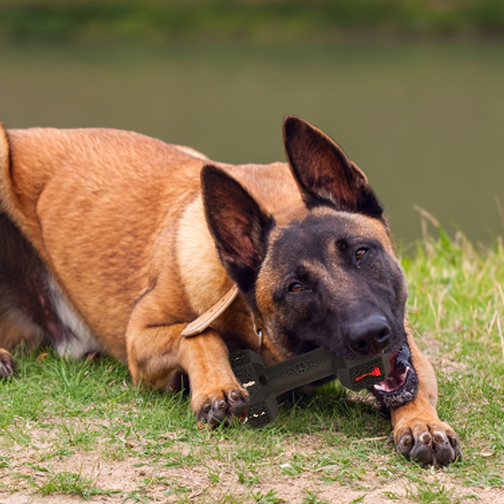 Jouet Haltère à Mâcher Indestructible pour Chiens