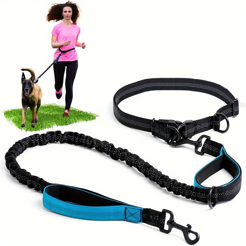 Laisse Elastique Mains Libres pour Chien