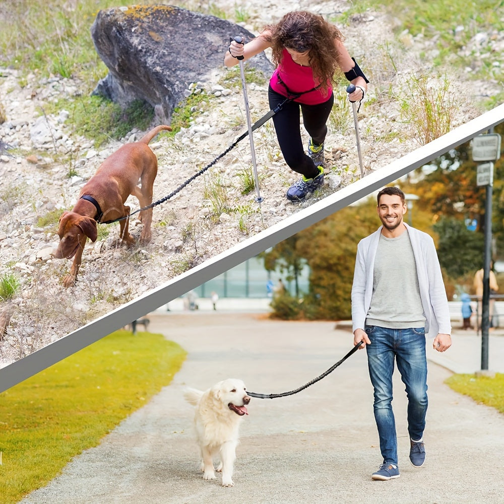 Laisse Elastique Mains Libres pour Chien