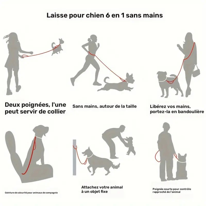 Laisse Mains Libres avec Boucle pour Voiture pour Chien