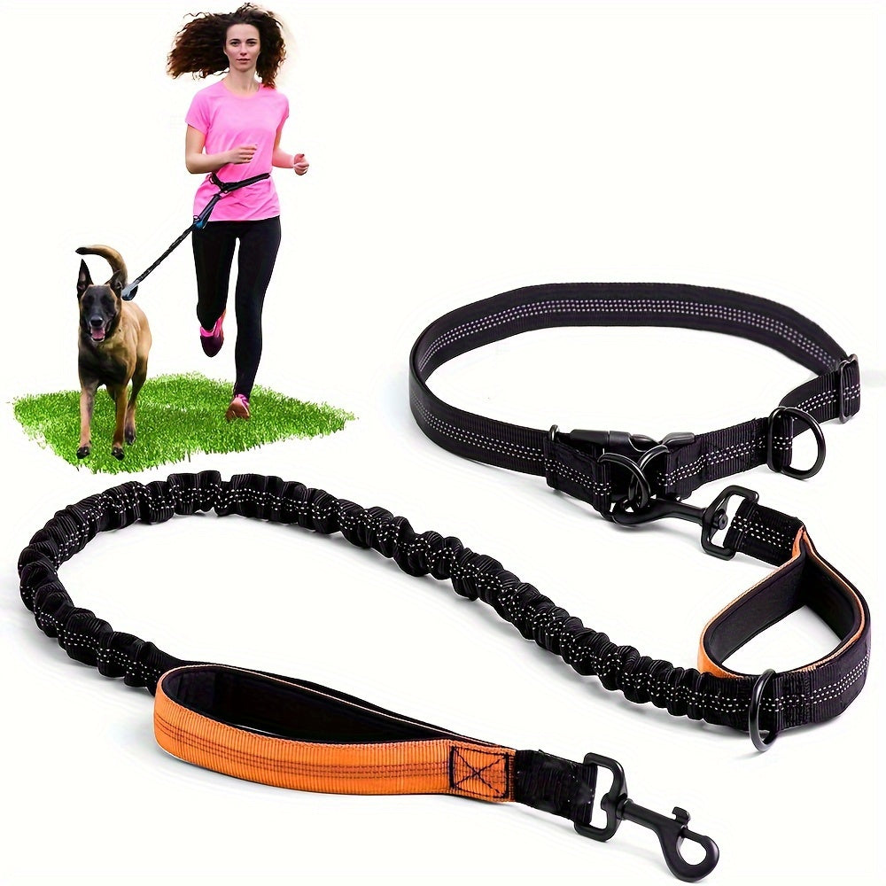 Laisse Elastique Mains Libres pour Chien