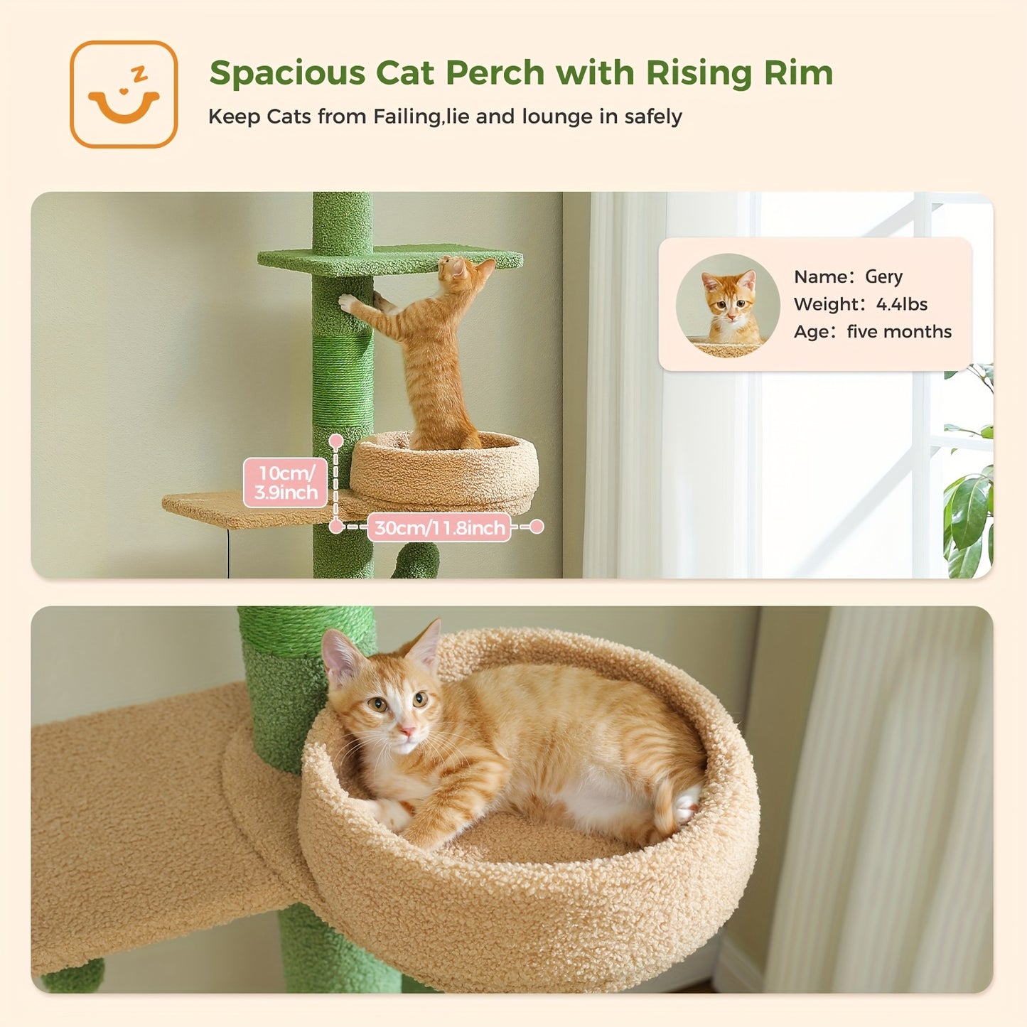 Arbre à Chat Cactus Ajustable PAWZ Road