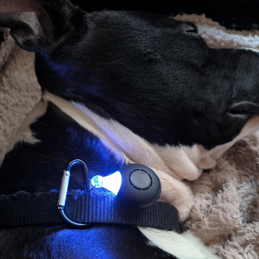 Médaillon Répulsif Ultrason Rechargeable pour Collier Chien