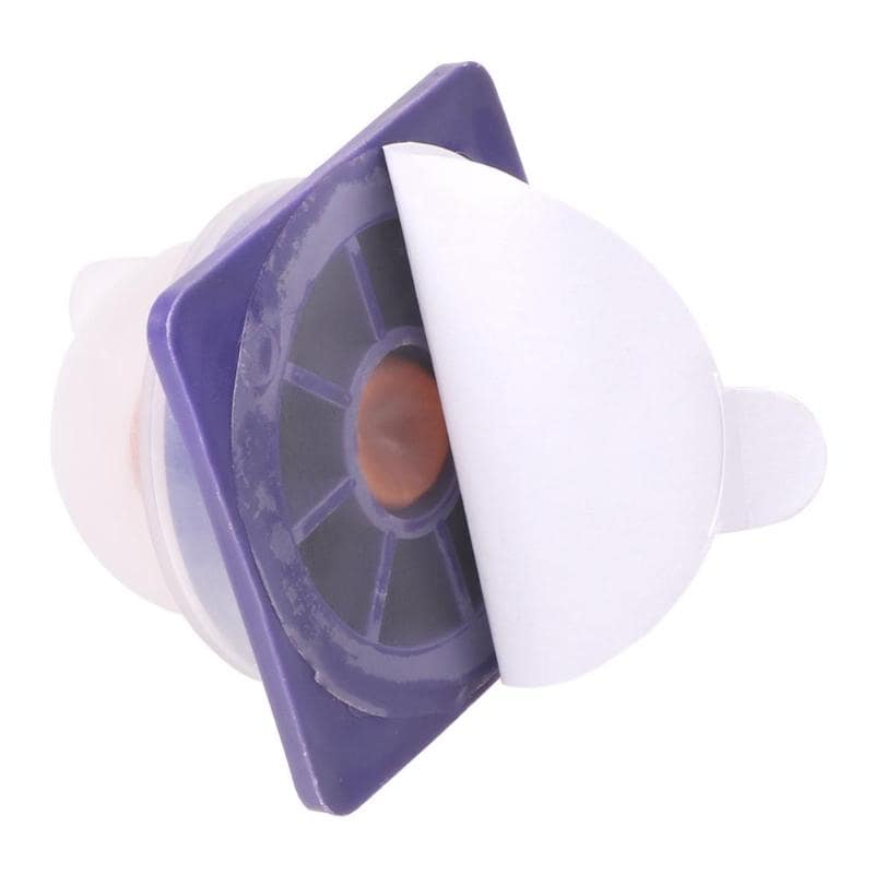 Friandise Murale au Catnip pour Chats