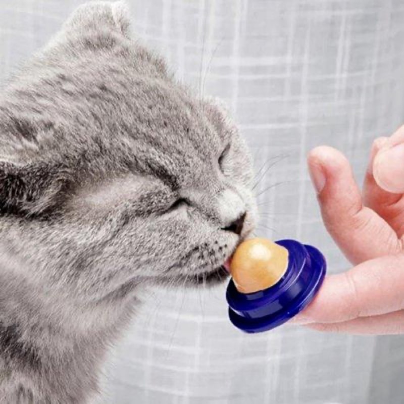 Friandise Murale au Catnip pour Chats