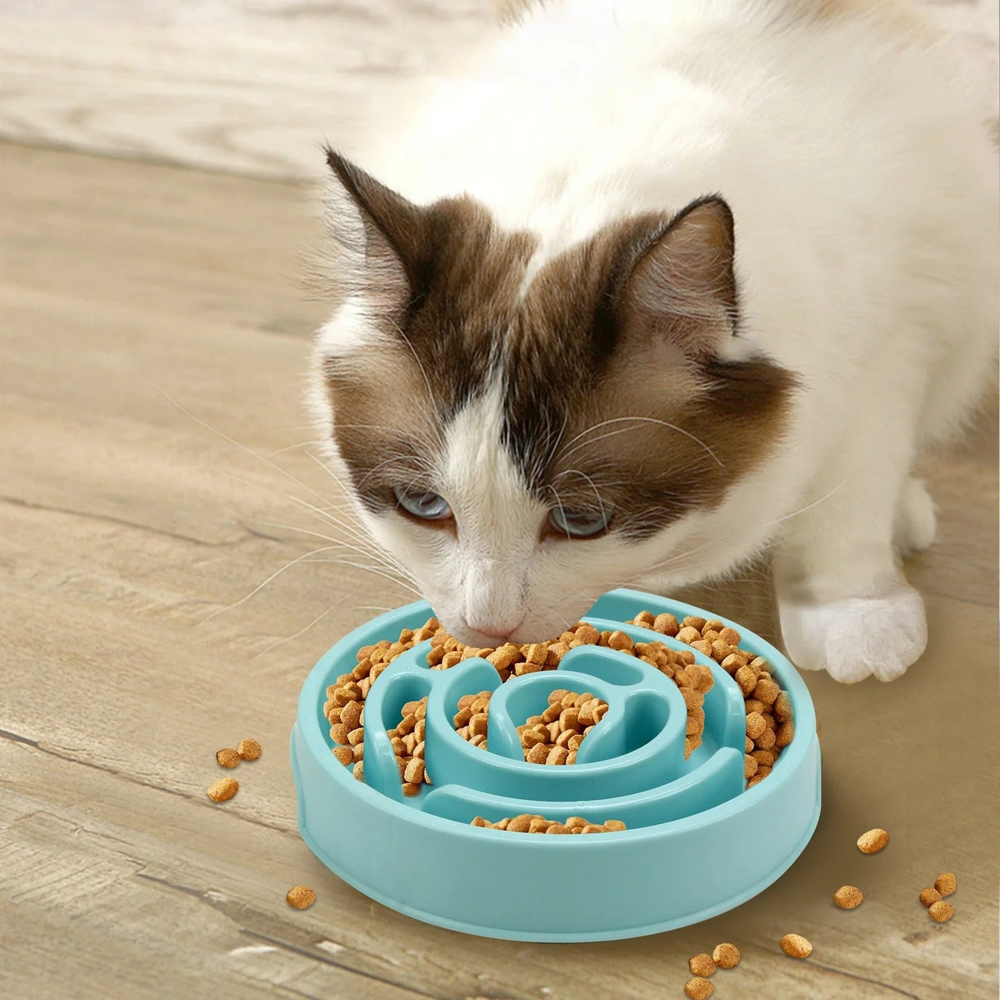 Gamelle Anti-Glouton pour Chien et Chat