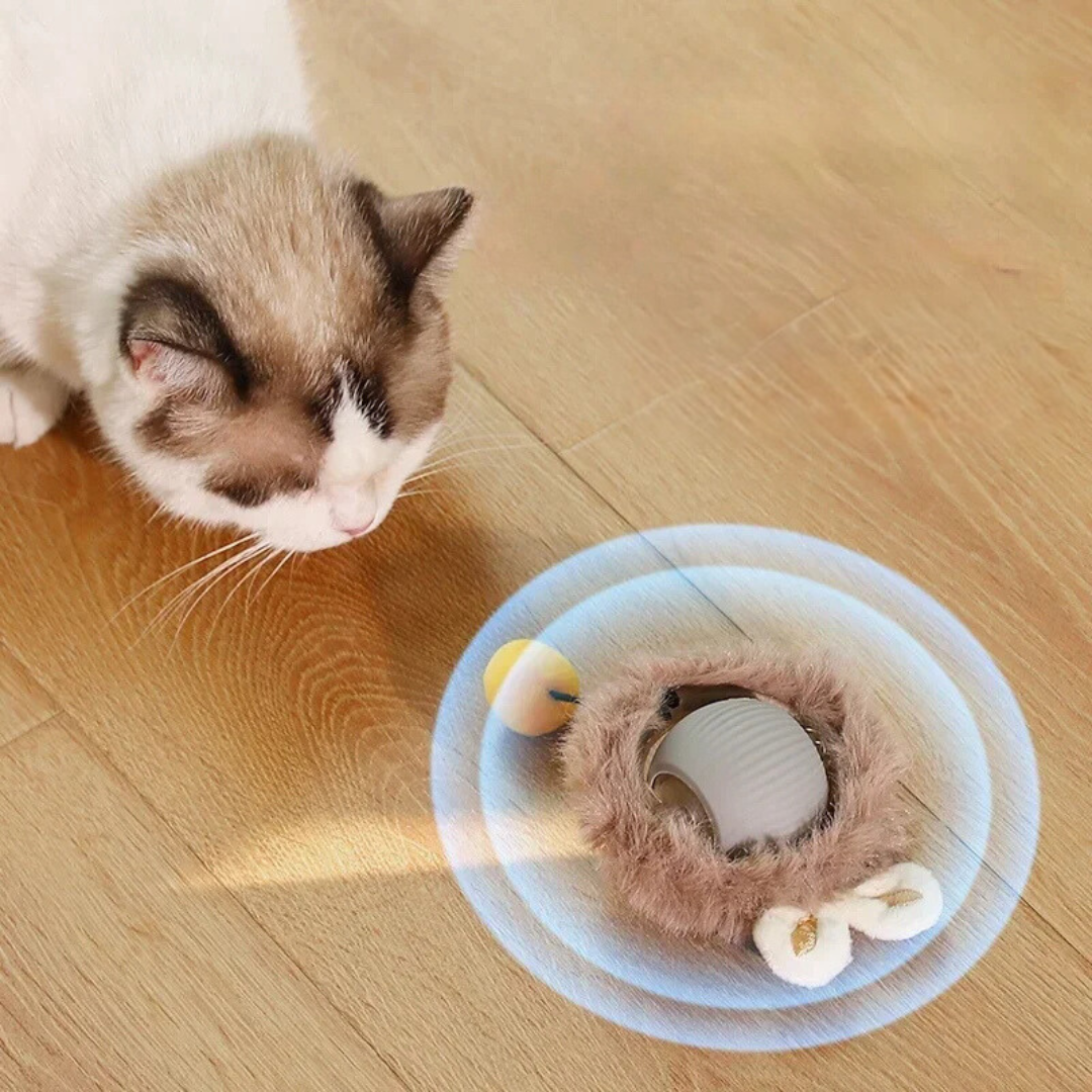 Balle interactive avec queue pour chat – Jeu stimulant et instinctif