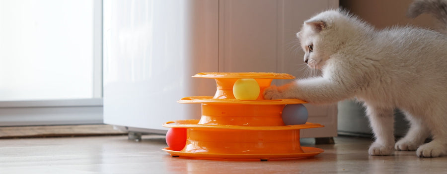 Jouets anti-ennui pour chat : lesquels fonctionnent vraiment ?