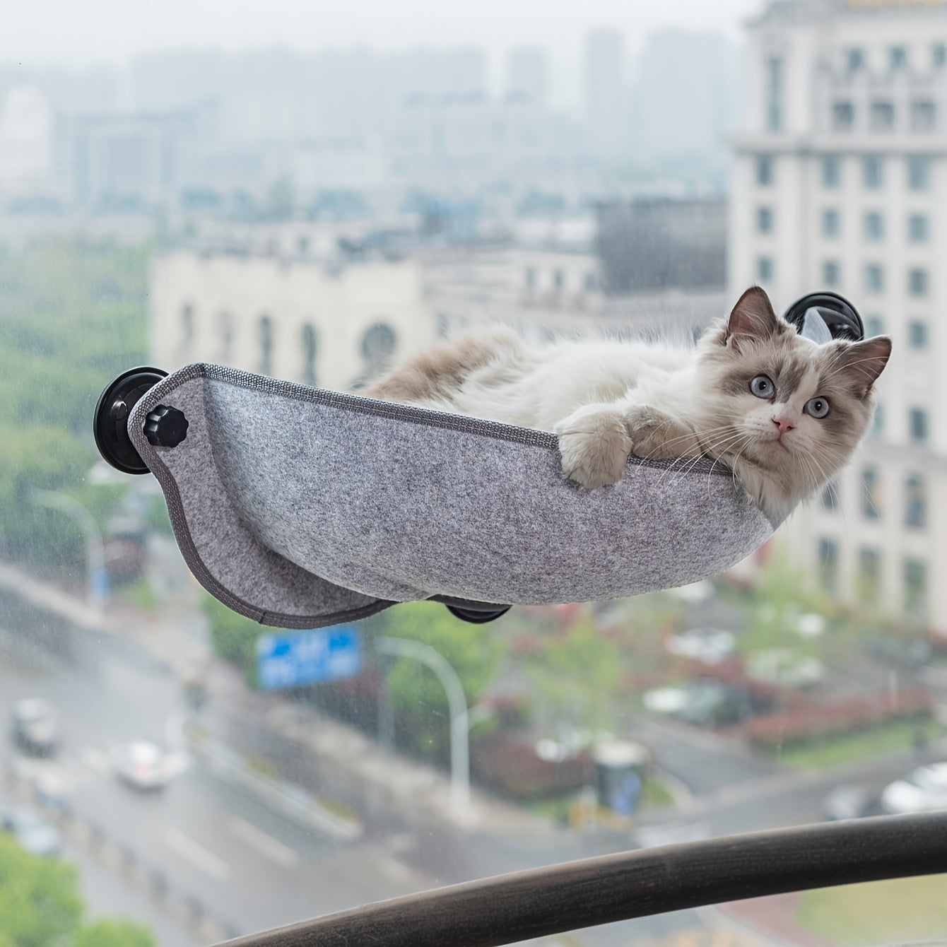 Hamac de Fenêtre en Forme de Croissant pour Chat