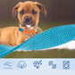 Collier Coloré style Casual pour Chien