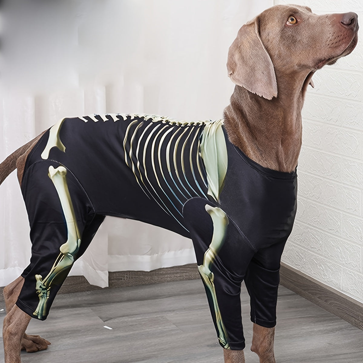 Costume Squelette Halloween pour Chiens