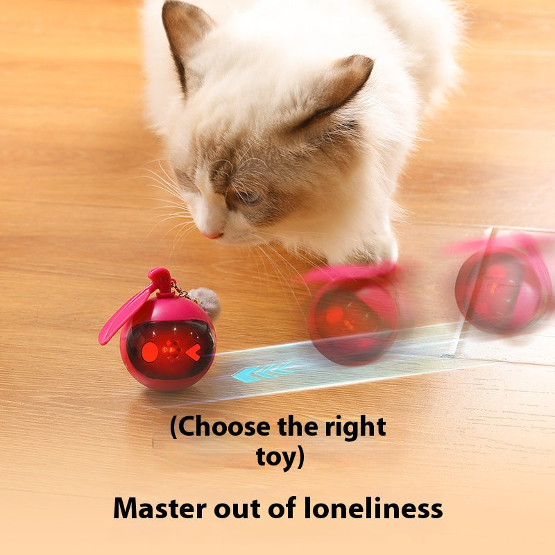 Jouet interactif pour chat avec sons d’oiseaux et LED