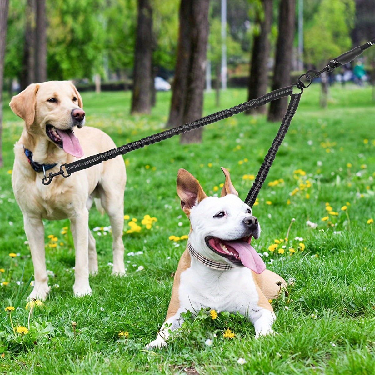 Laisse en Corde Réfléchissante avec Rallonge Double 1,5M pour Chien