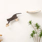 Ensemble Mural pour Chat avec Hamac Double, Pont et Plateformes d’Escalade