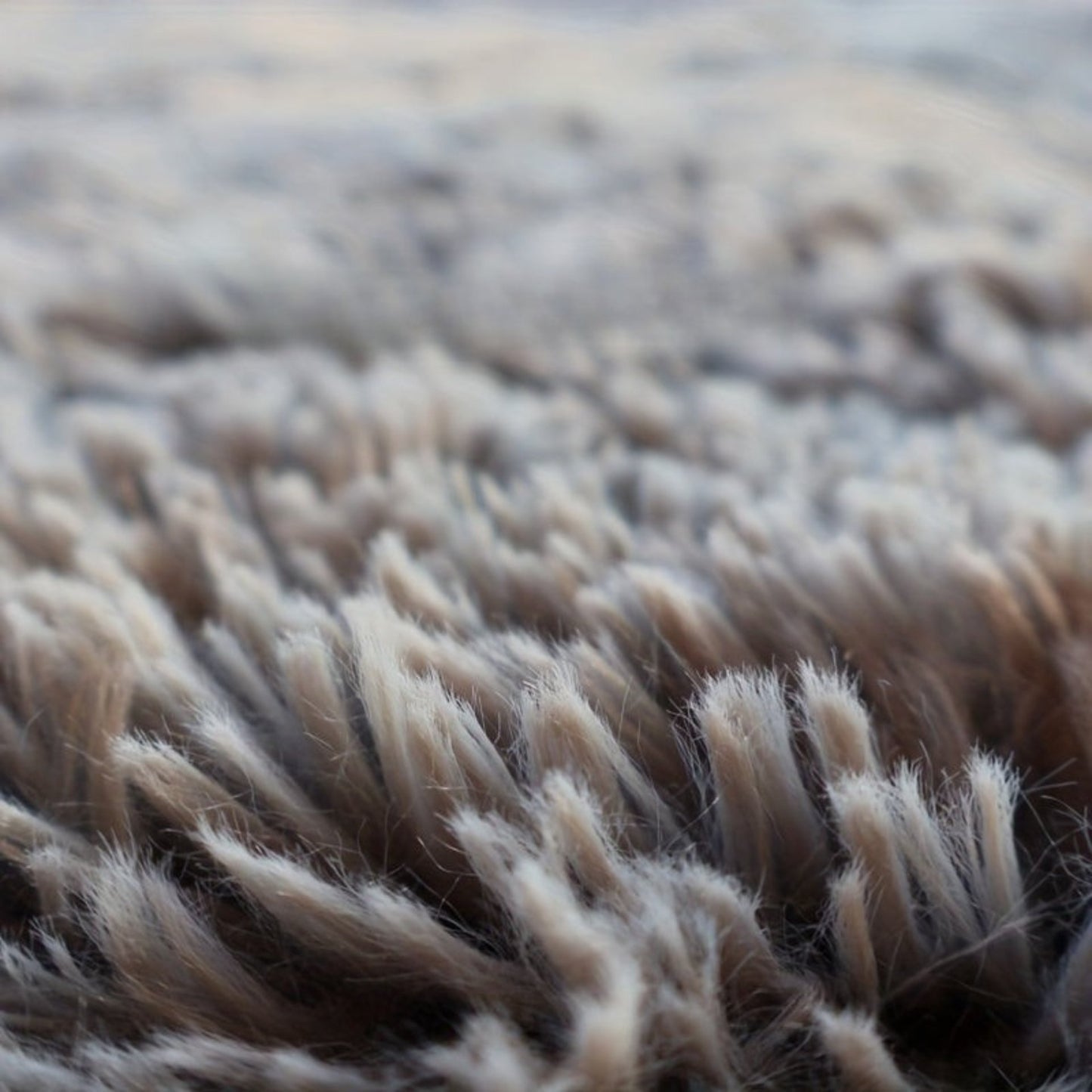 Couverture Peluche Ultra Douce pour Chiens et Chats