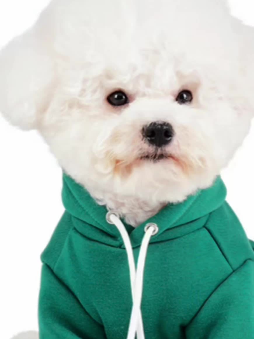Sweat à Capuche Vert pour Petit Chien