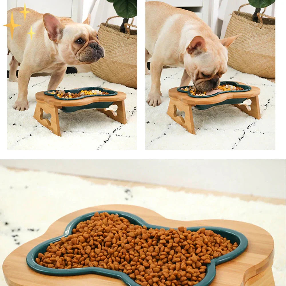 Gamelle Céramique Élevée pour Chien – Design Os & Support Bois